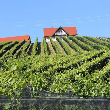 Holiday home Weingartenhaus *