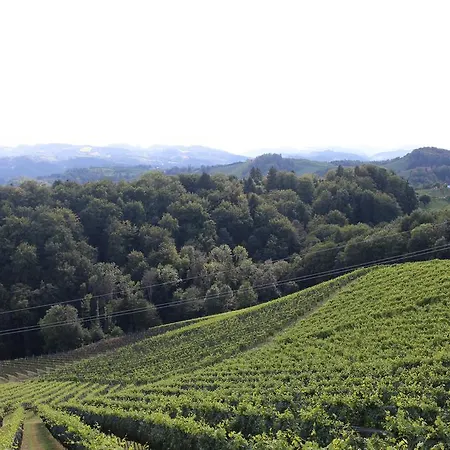 度假居 Weingartenhaus *