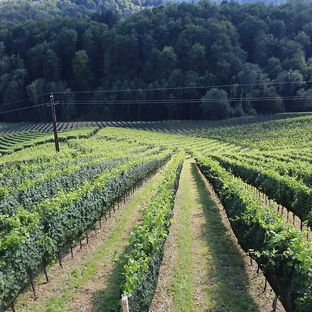 度假居 Weingartenhaus *