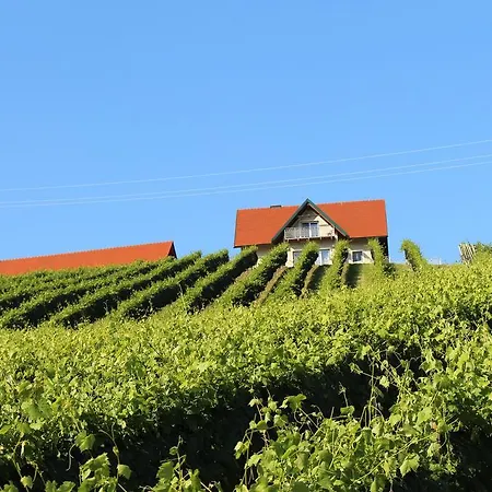Tatil Evi Weingartenhaus *