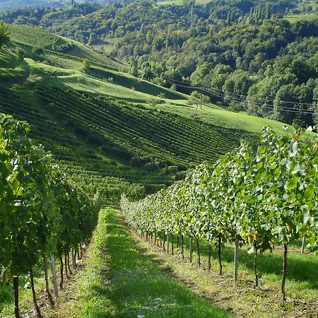 Дом отдыха Weingartenhaus *