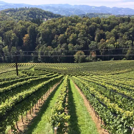 Weingartenhaus * Лойчах