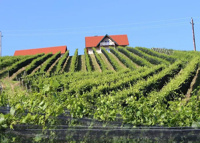 펜션 Weingartenhaus *