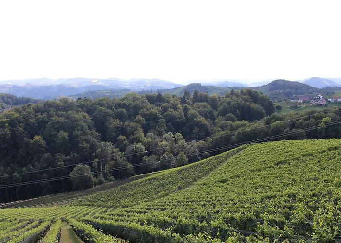 Casa de Férias Weingartenhaus *