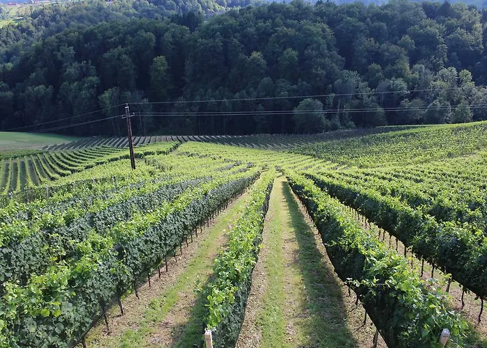Casa de Férias Weingartenhaus *