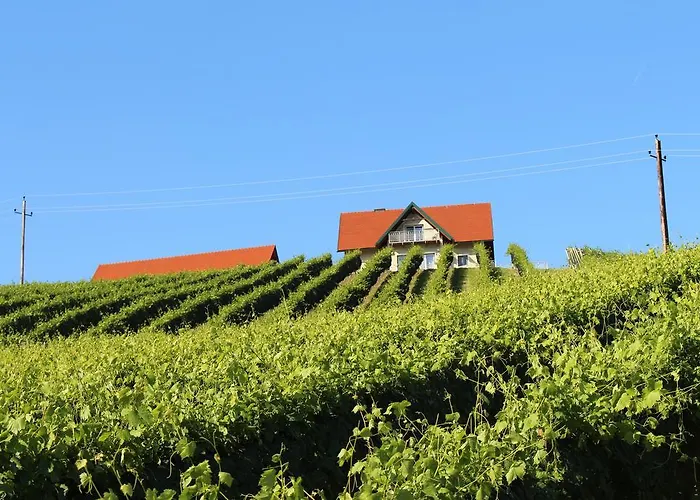 Casa de Férias Weingartenhaus *