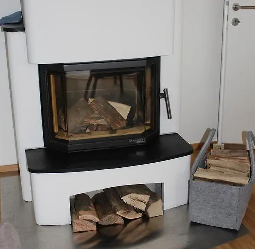 度假居 Weingartenhaus 里欧查赫