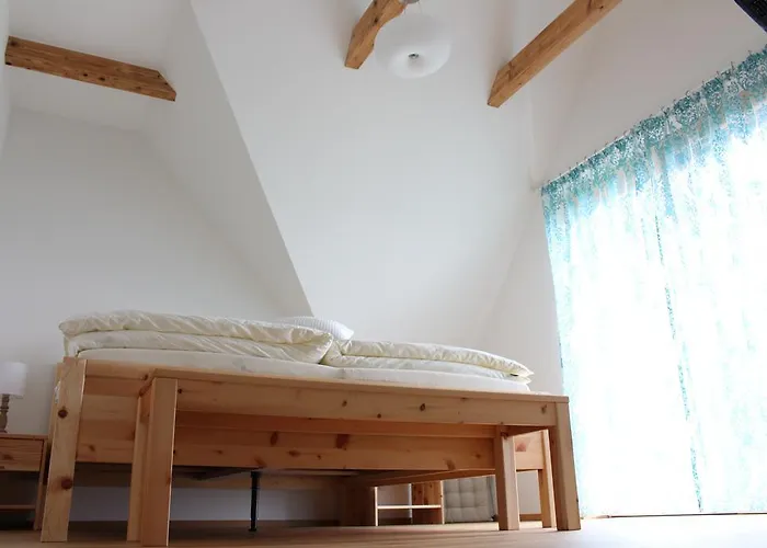 Weingartenhaus * 里欧查赫