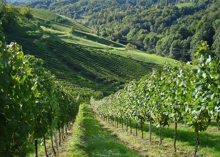 度假居 Weingartenhaus *