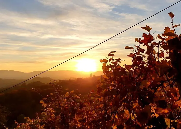 度假居 Weingartenhaus 里欧查赫