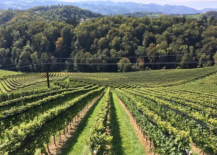 Weingartenhaus * 里欧查赫